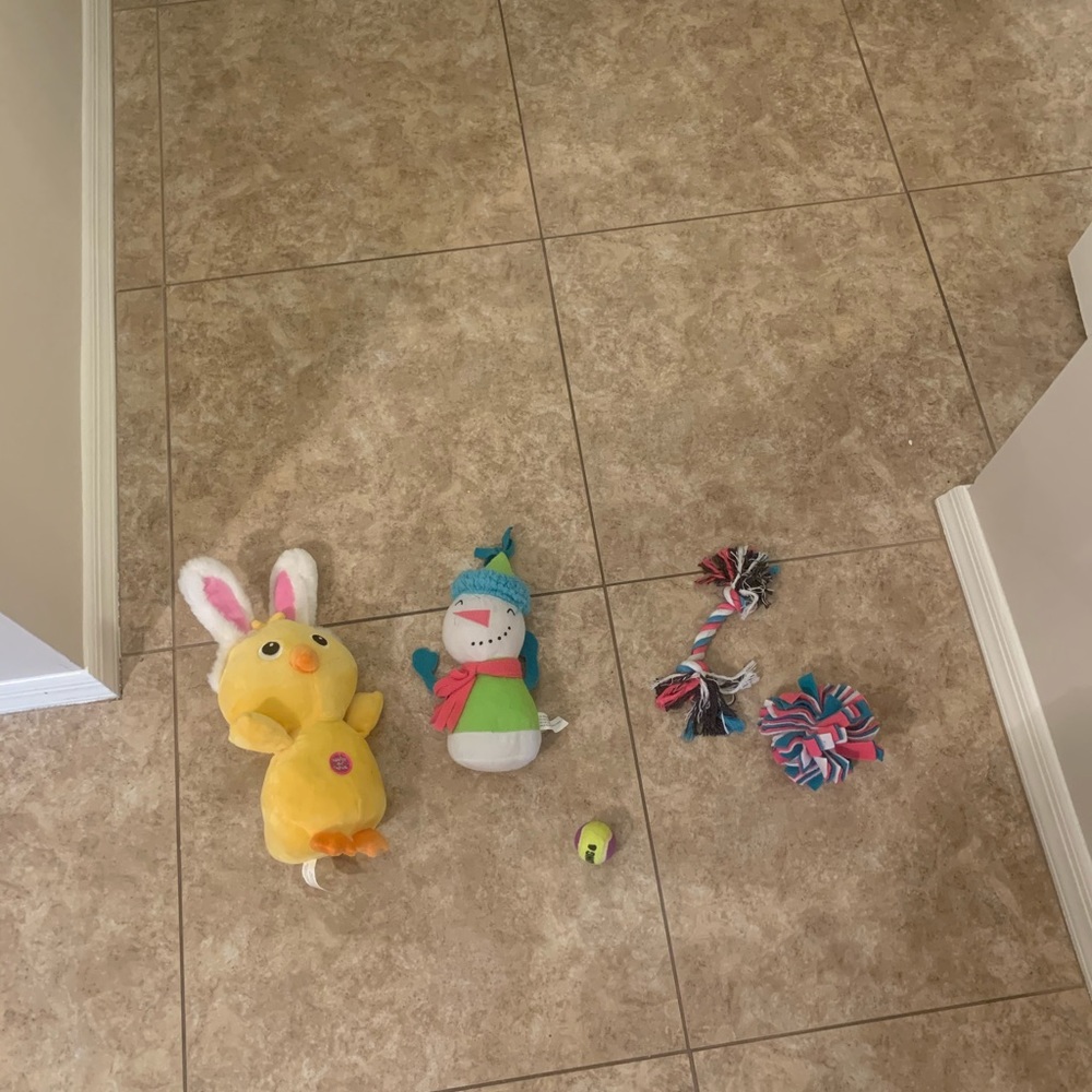 Brand new dog toys 🧸